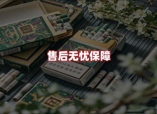 专业团队